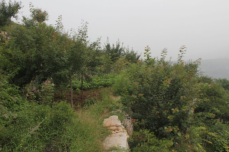 种植基地